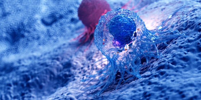 3d rendered illustration of the anatomy of a cancer cell