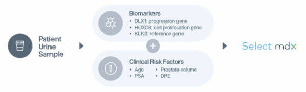 infographic for physicians to better understand how select MDX works.